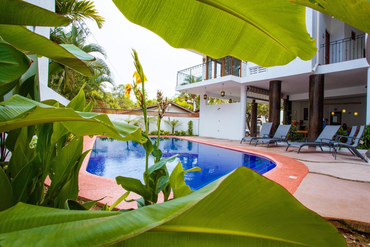Hotelito Los Suenos Sayulita Dış mekan fotoğraf